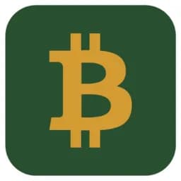 Bitcoin Loans Market