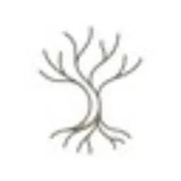 Roots - Calm Mind Wisdom