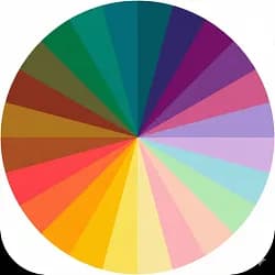 ColorAnalysisQuiz.app (或 AI Personal Color Lab)