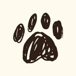 Pawjojo
