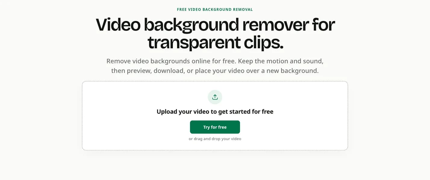 VideoBGRemover Screenshot