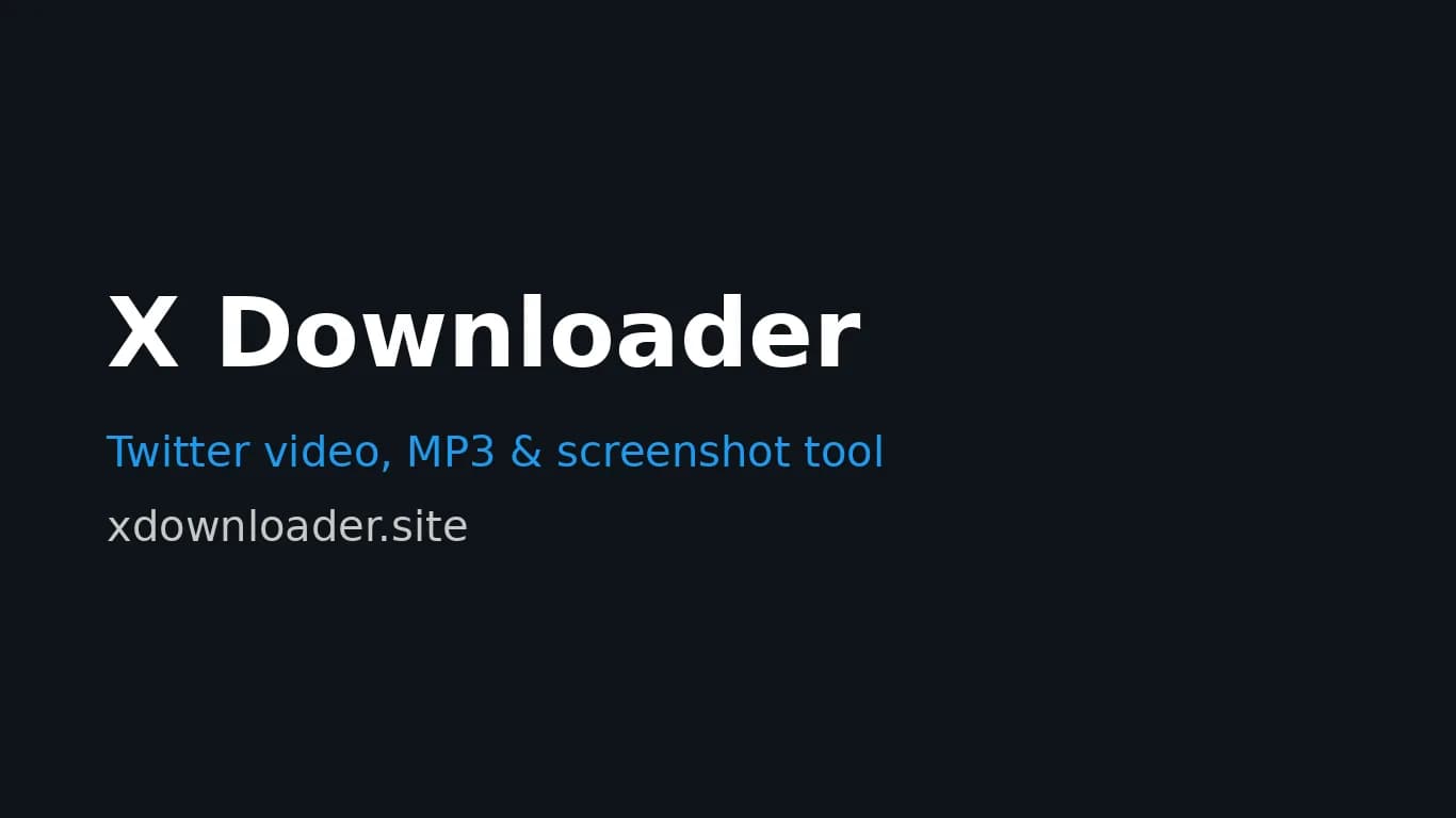 X Downloader Screenshot