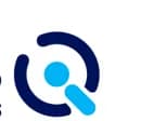 NexusIQ Solutions Logo