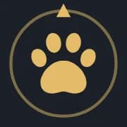 AION 2 Pets