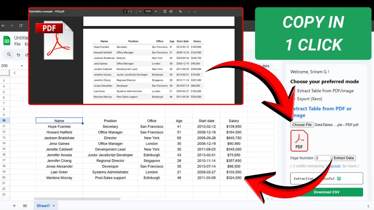 Convert PDF to Google Sheets™,CSV: Bank Statement