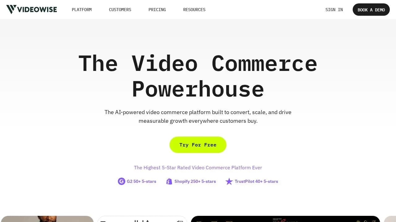 Videowise