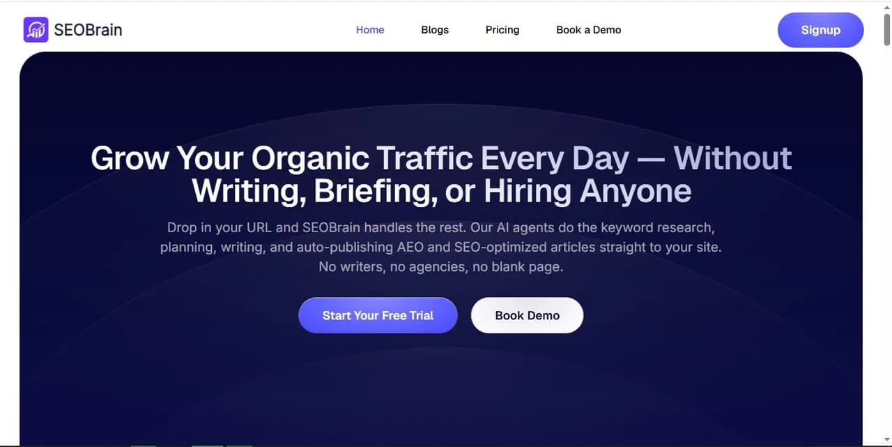 SEOBrain Screenshot