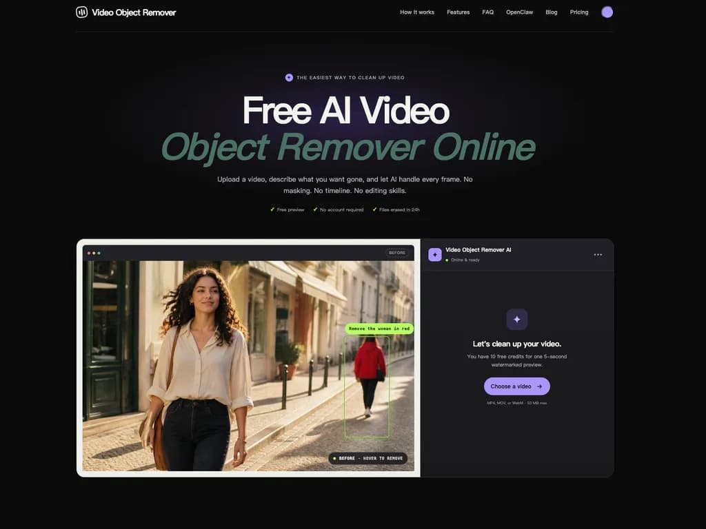 Video Object Remover