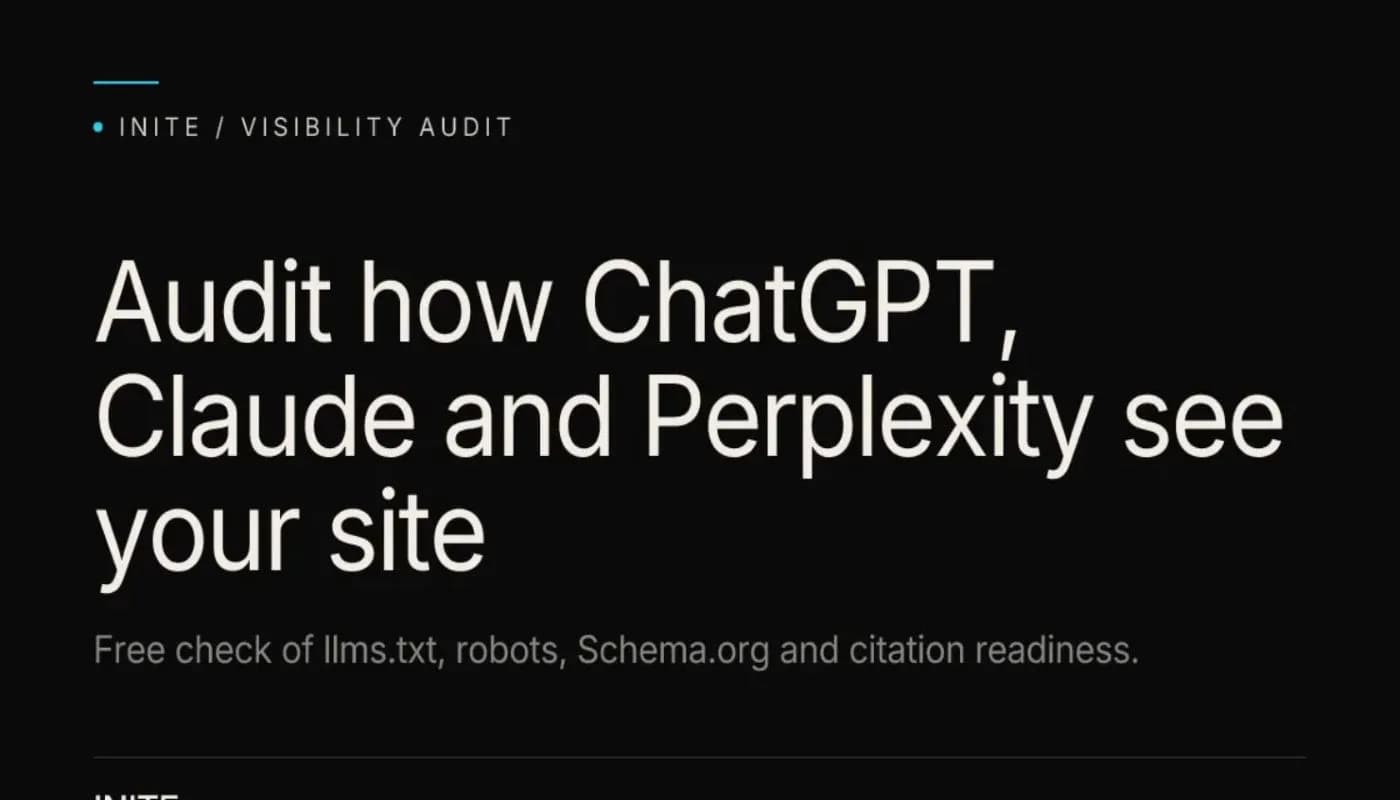 AI Visibility Audit Screenshot