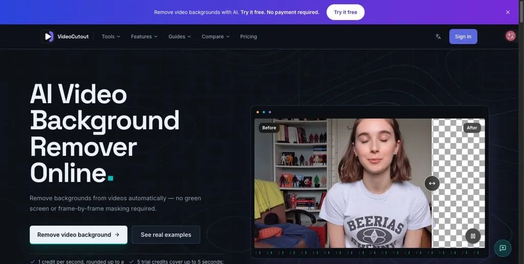 VideoCutout Screenshot