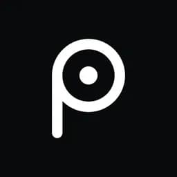 Puley Logo