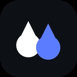 Raindance AI Video Logo